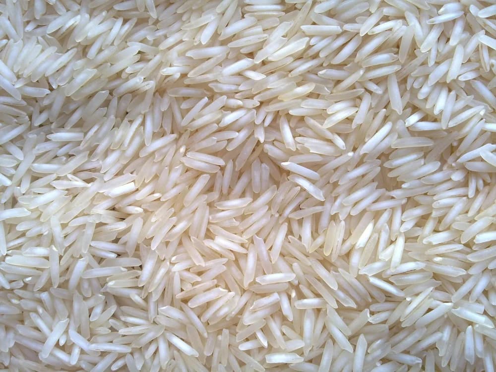 Basmati grain, close up