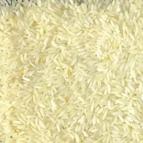 CO 51 grain, close up