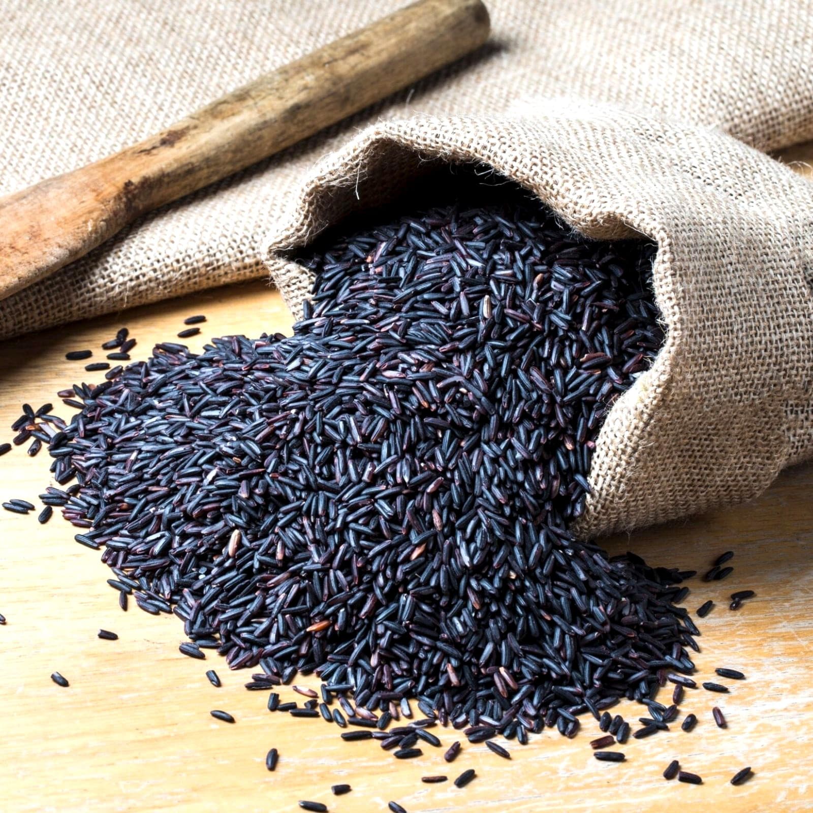 Karuppu Kavuni grain, close up