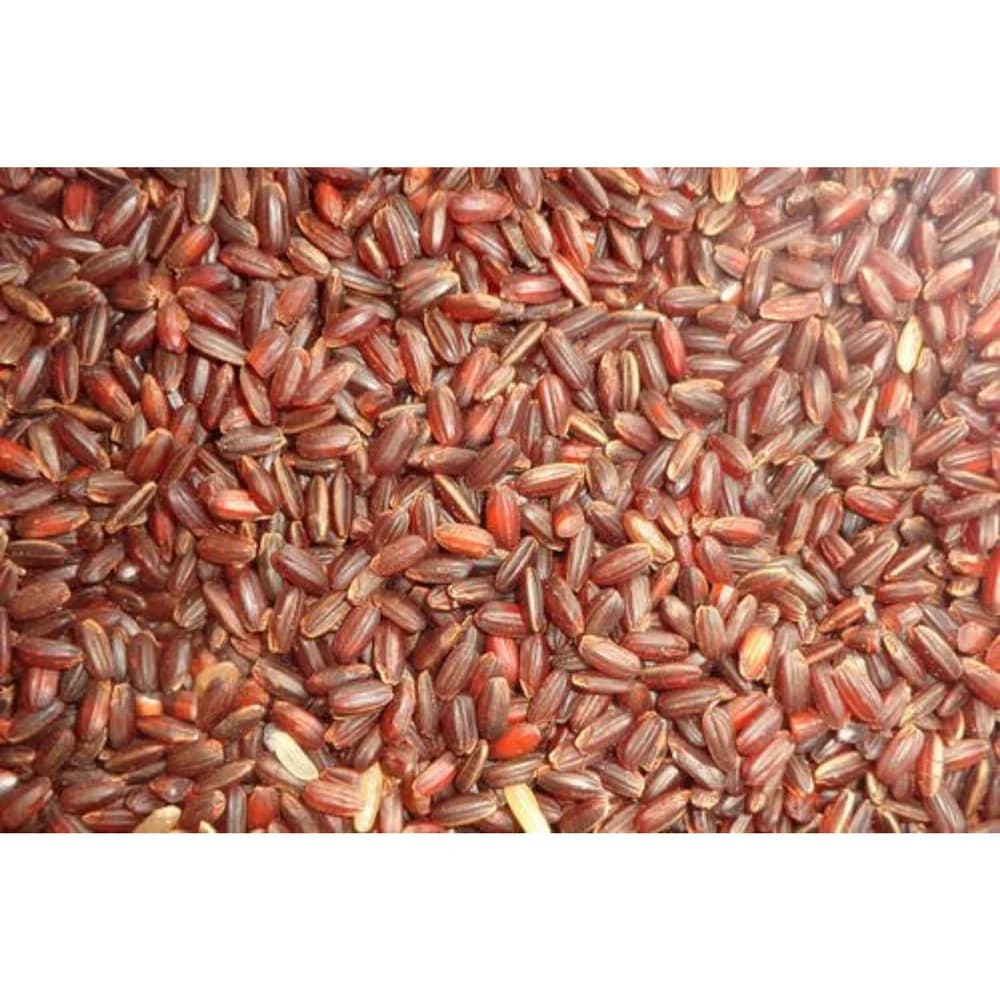 Kattuyanam grain, close up