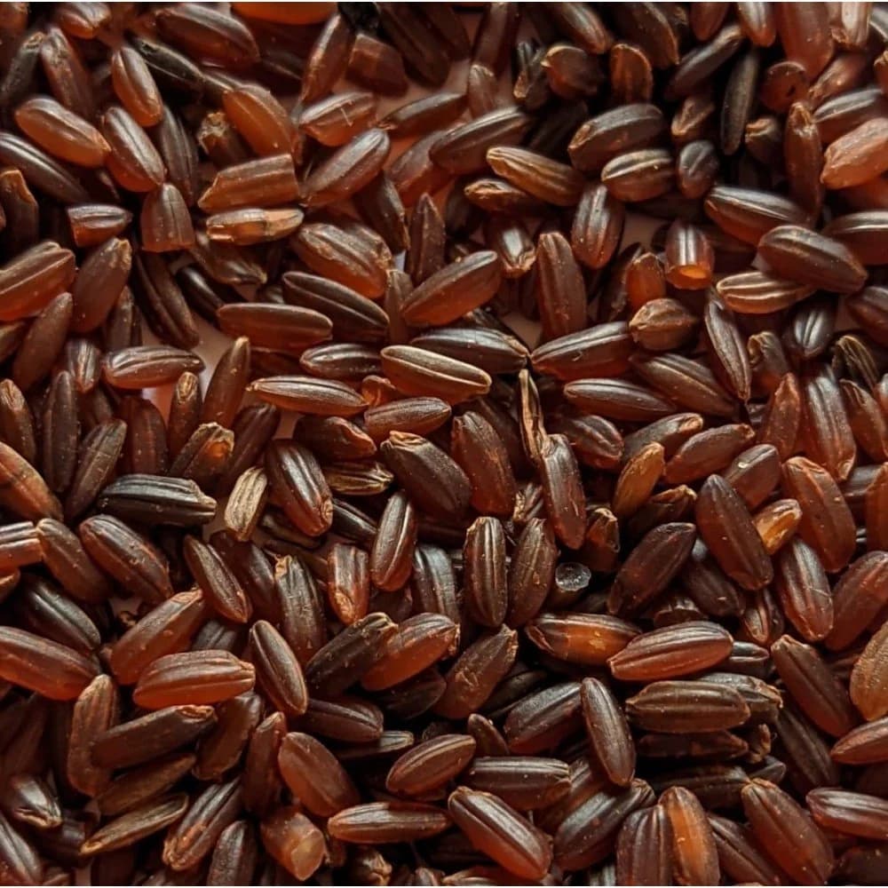 Mappillai Samba grain, close up