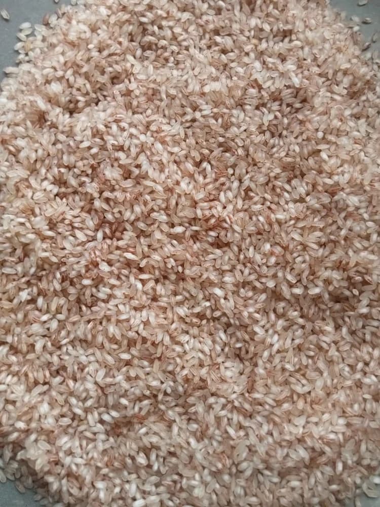 Matta Rice grain, close up