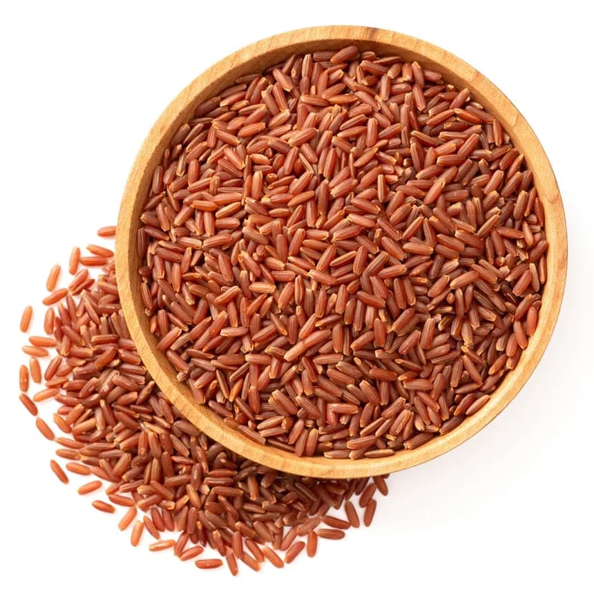 Navara grain, close up