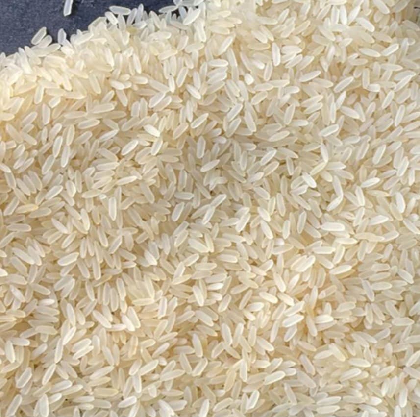 Pacharisi grain, close up