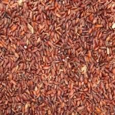 Poongar grain, close up