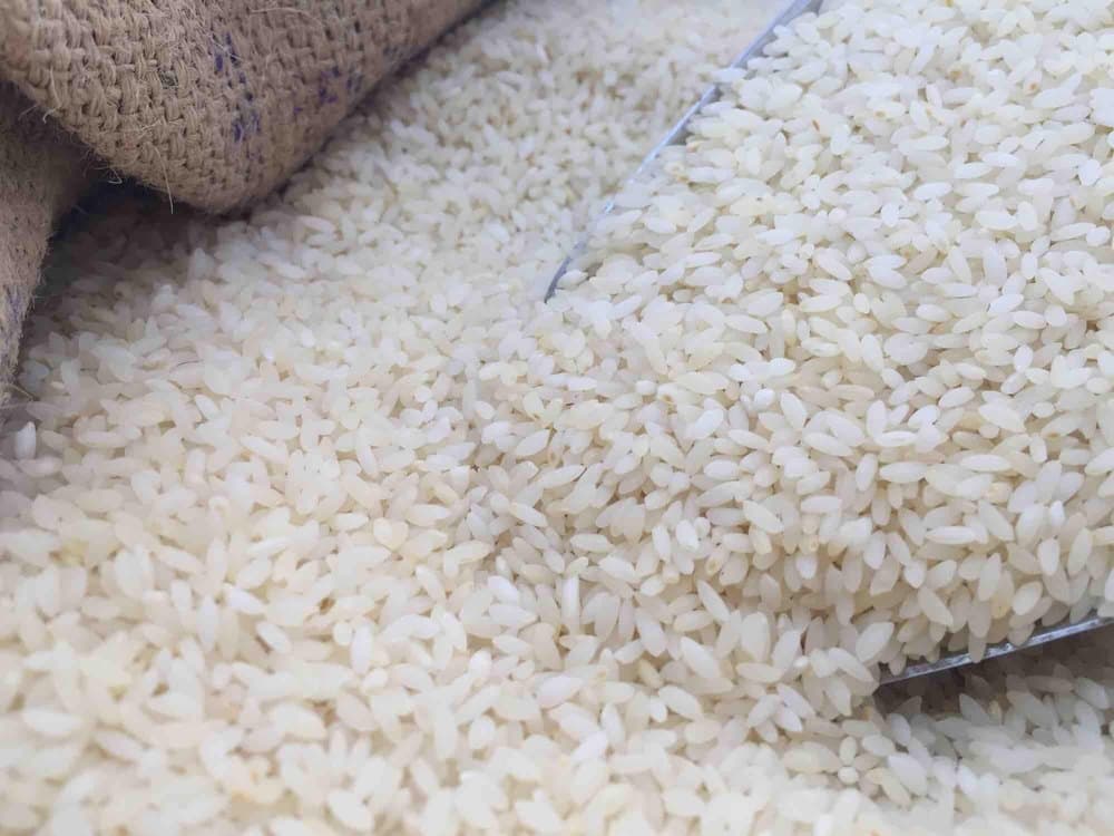 Seeraga Samba grain, close up