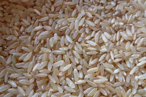 Kichili Samba grain, close up